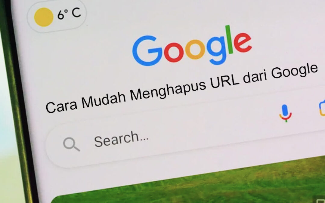Berbagai Cara Menghapus URL dari Google Dengan Mudah
