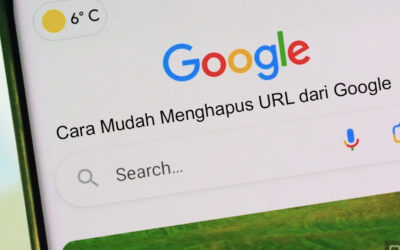 Berbagai Cara Menghapus URL dari Google Dengan Mudah