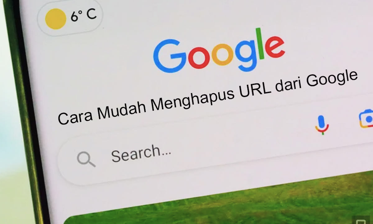 Cara-Menghapus-URL-dari-Google-yang-Dudah-dihapus-Diwebsite Cara Menghapus URL dari Google